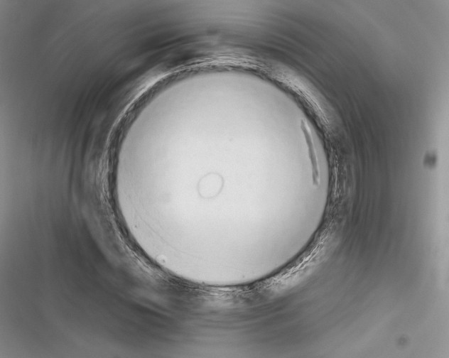 X0000116270828201001111012