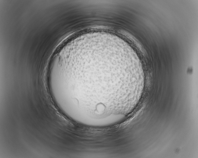 X0000116270829201001111012