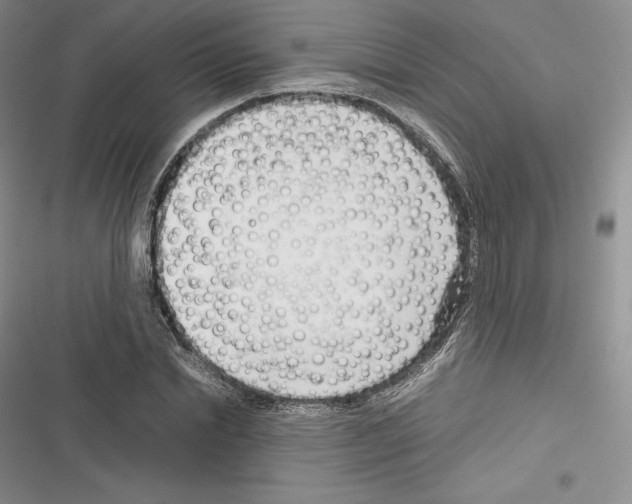 X0000116270830201001111012