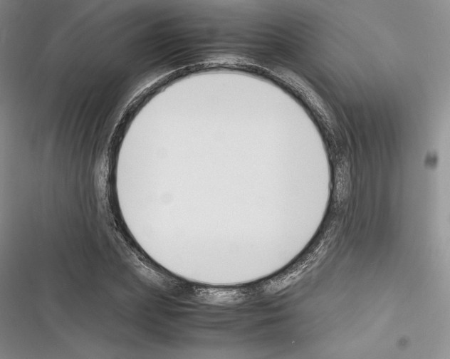 X0000116270831201001111012