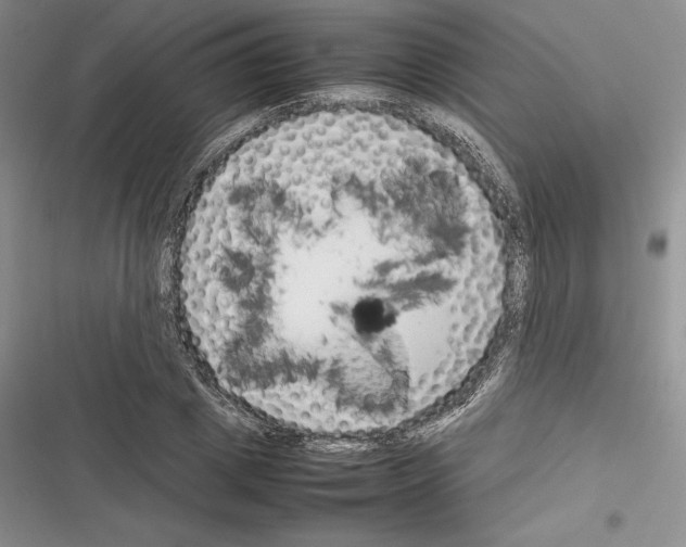 X0000116270833201001111012