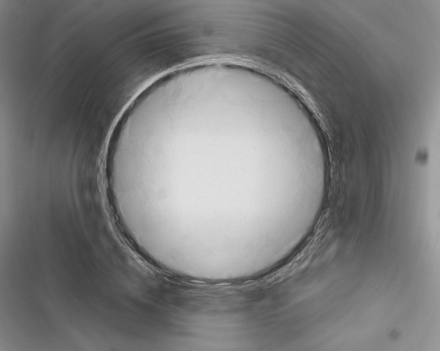 X0000116270836201001111012