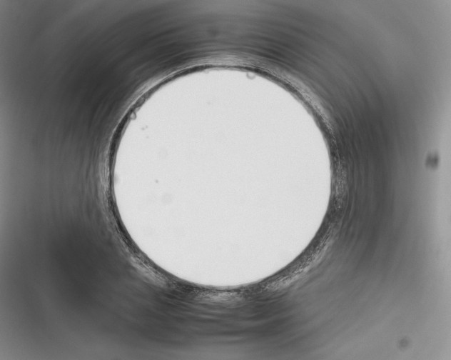 X0000116270837201001111013