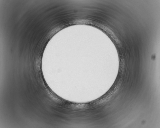 X0000116270841201001111013