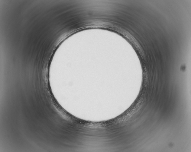 X0000116270842201001111013