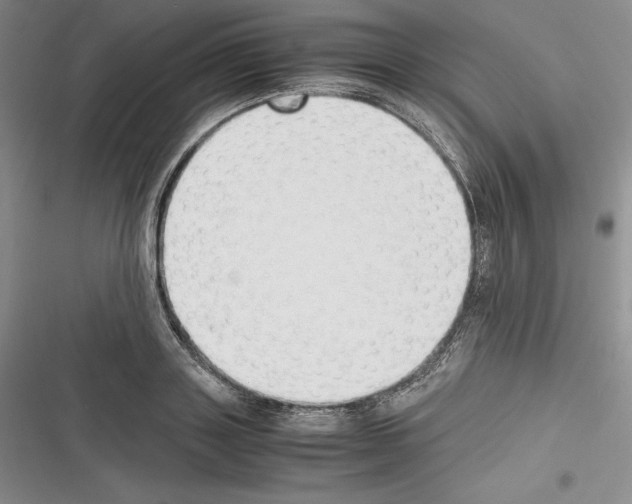 X0000116270843201001111013