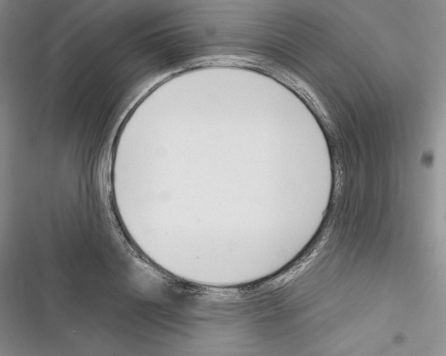 X0000116270844201001111013