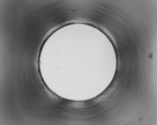 X0000116270845201001111013