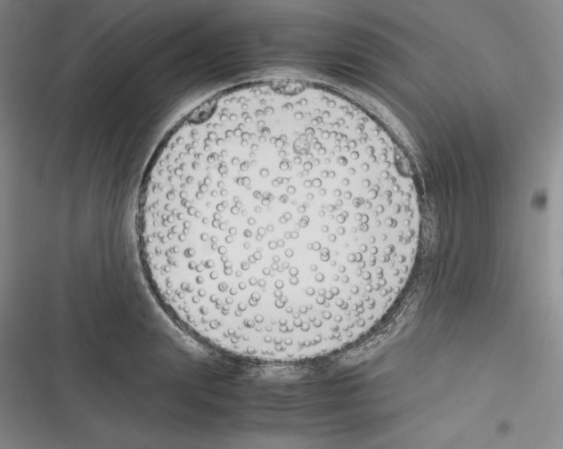 X0000116270847201001111013
