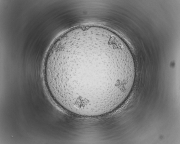 X0000116270848201001111013