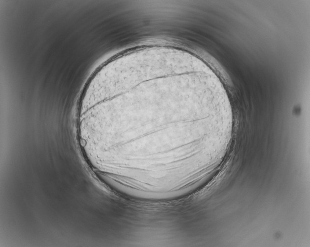 X0000116270854201001111013