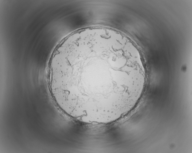 X0000116270856201001111013