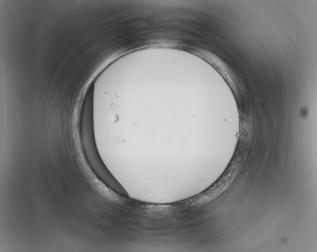 X0000116270859201001111013