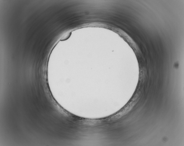 X0000116270860201001111013