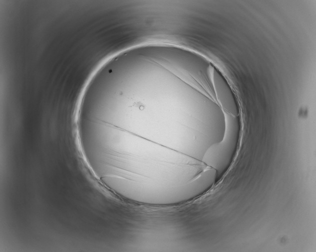 X0000116270864201001111013