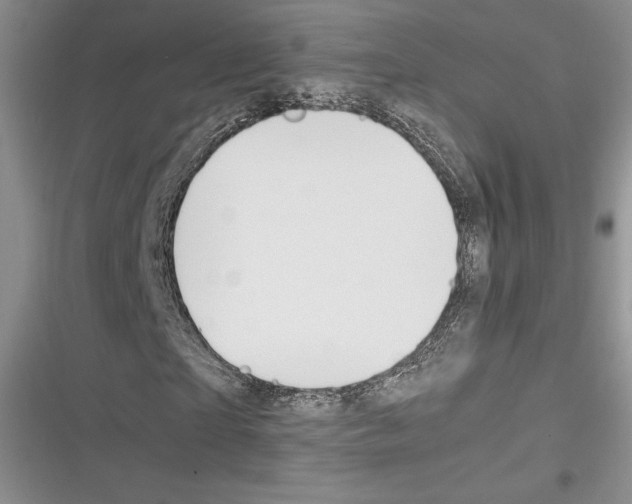 X0000116270865201001111012