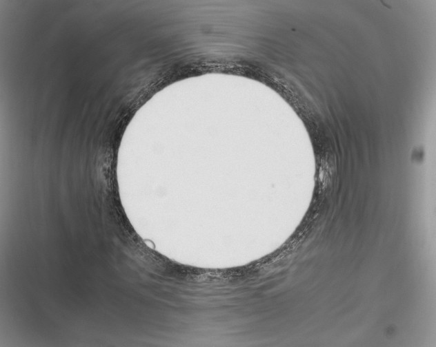 X0000116270867201001111012