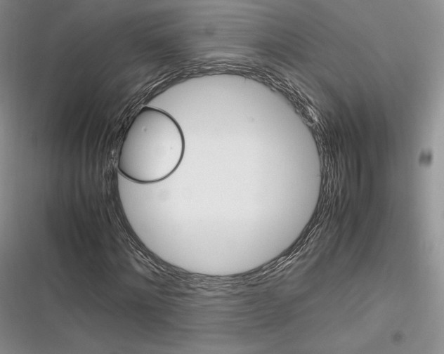 X0000116270868201001111012