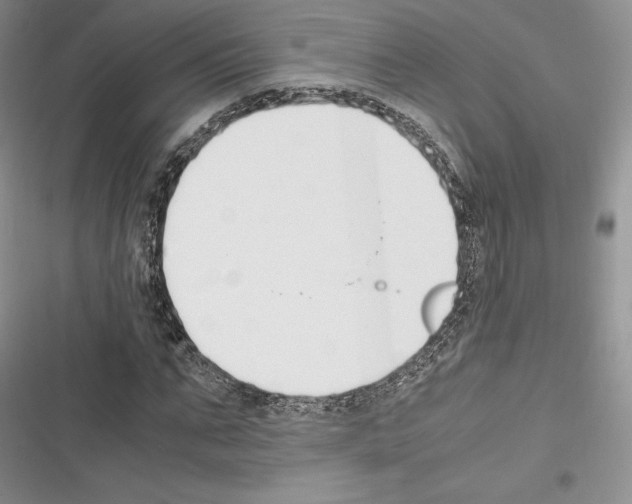 X0000116270871201001111012