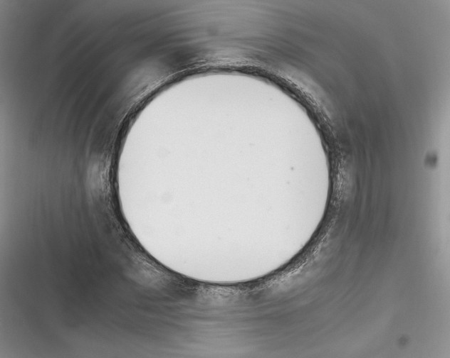 X0000116270873201001111012