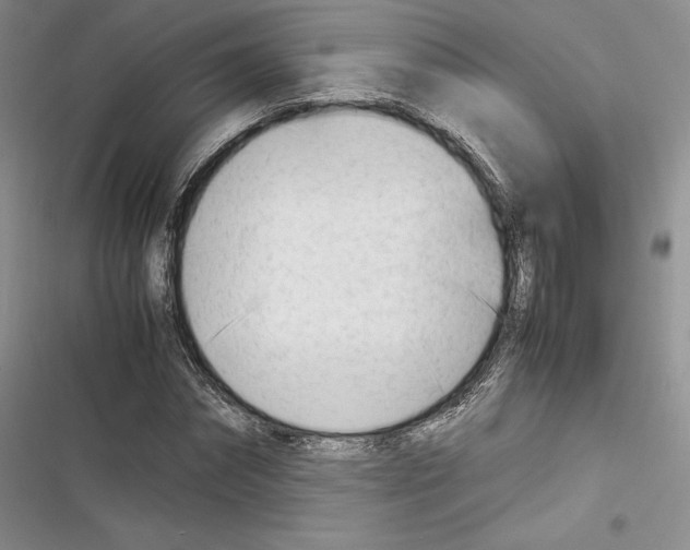 X0000116270874201001111012