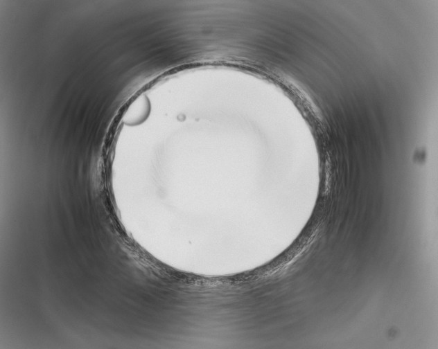 X0000116270876201001111012