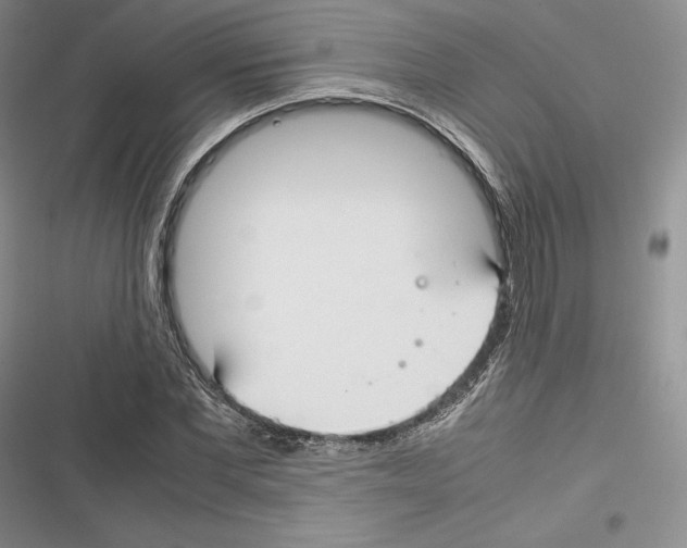 X0000116270877201001111012