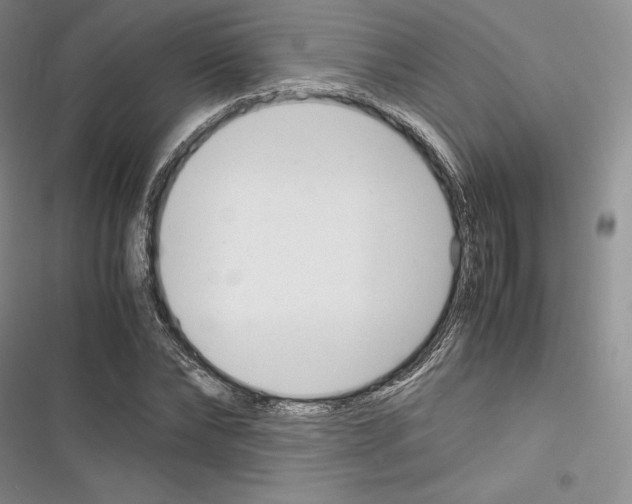 X0000116270878201001111012