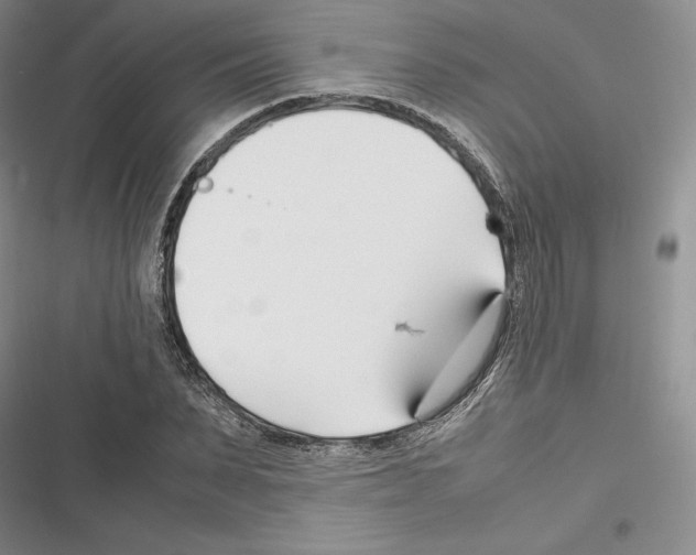 X0000116270879201001111012