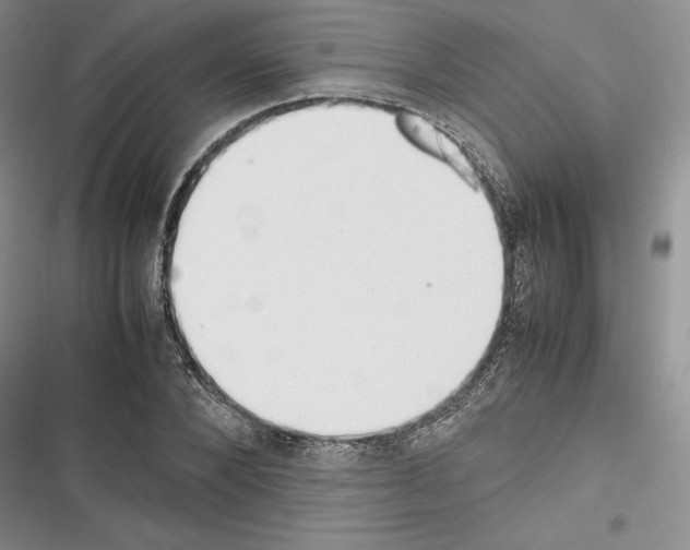 X0000116270880201001111012