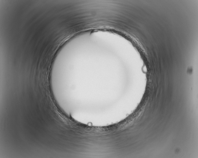 X0000116270881201001111012