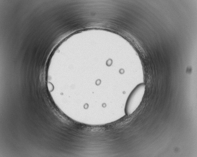 X0000116270884201001111012