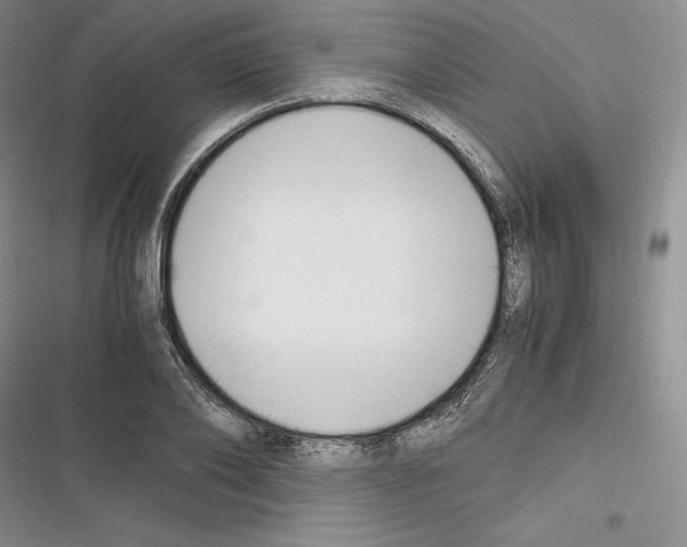 X0000116270886201001111012