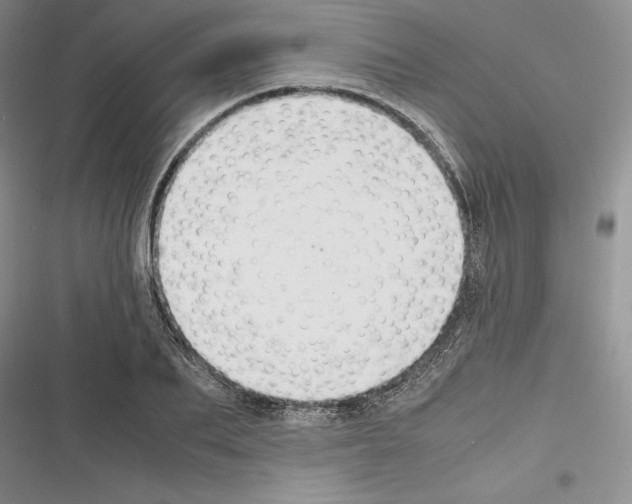 X0000116270887201001111012