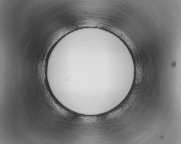 X0000116270890201001111012