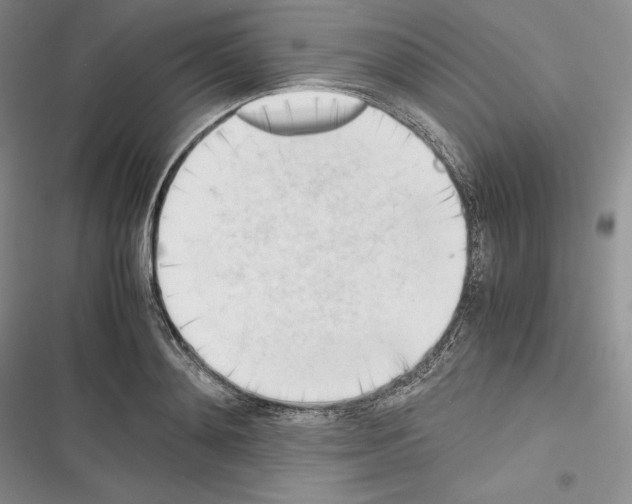 X0000116270892201001111012