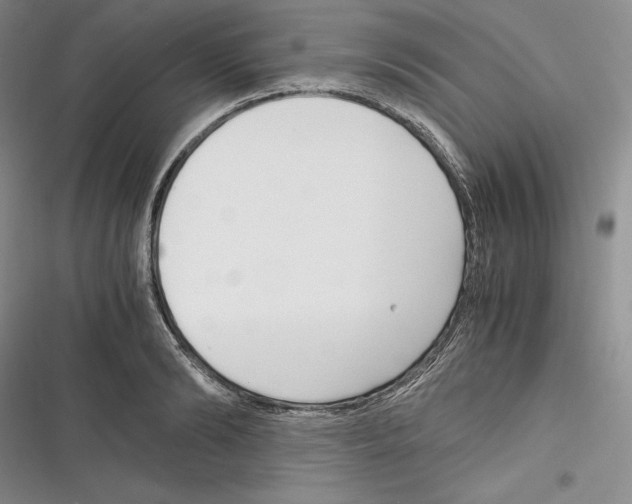 X0000116270894201001111012