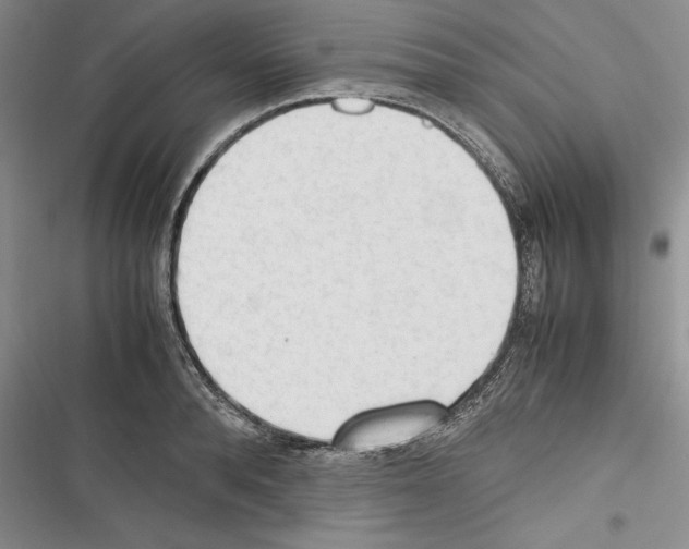 X0000116270896201001111012