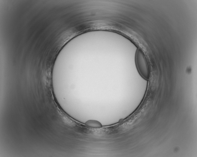 X0000116270897201001111012