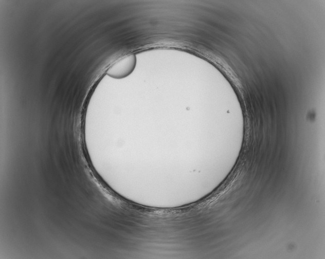 X0000116270898201001111012