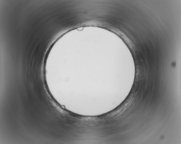 X0000116270902201001111012