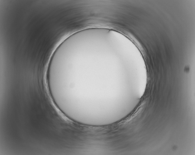 X0000116270909201001111012