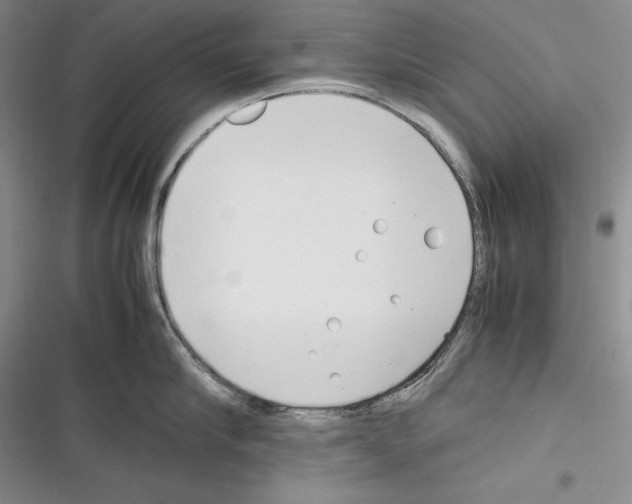 X0000116270910201001111012