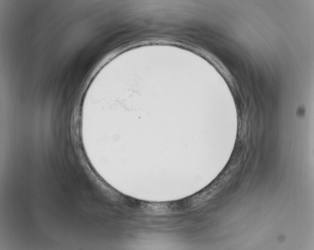 X0000116270911201001111012