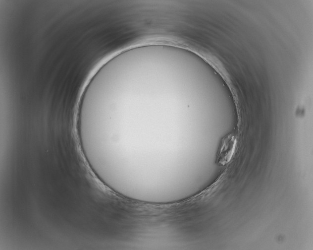 X0000116270912201001111012