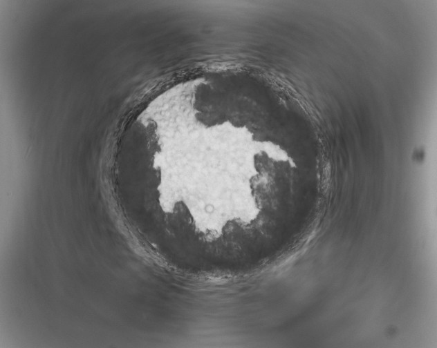 X0000116270913201001111011