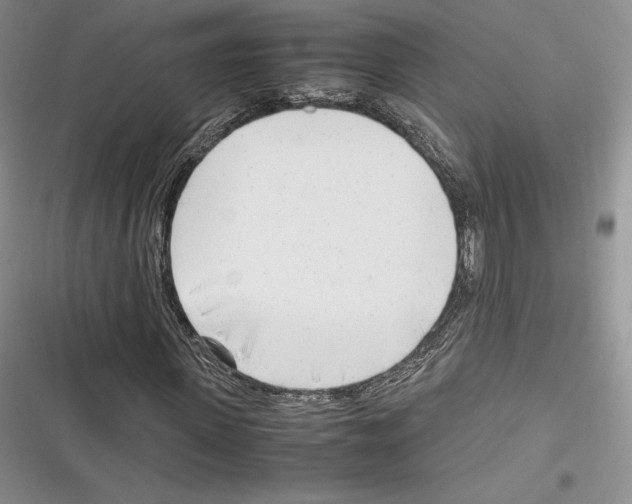 X0000116270915201001111011