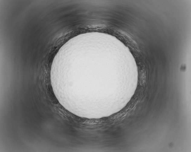 X0000116270917201001111011