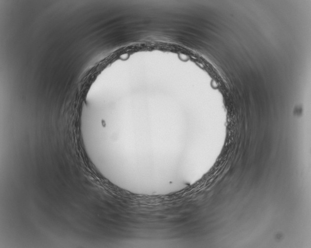 X0000116270919201001111011