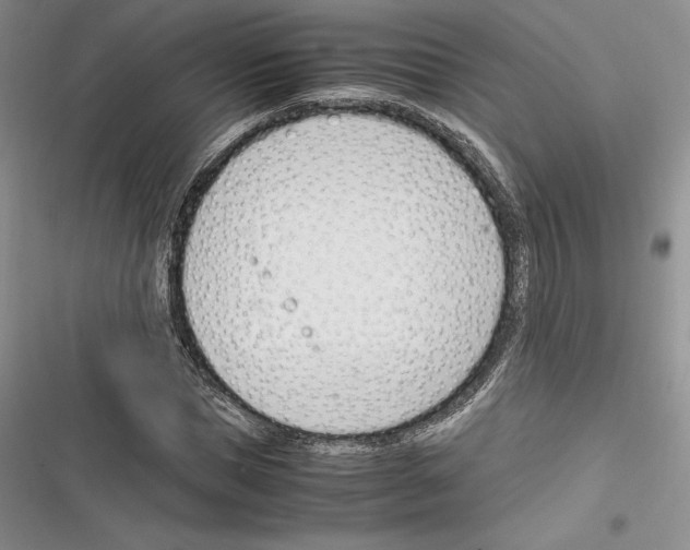 X0000116270921201001111011